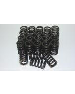Toyota 2JZ Valve Spring Kit