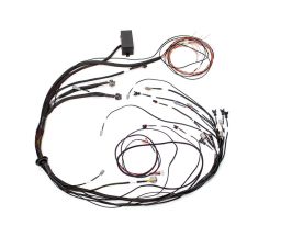 Elite 1000/1500 Mazda 13B S6-8 Terminal Harness