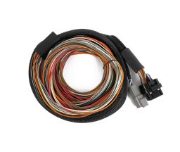 IO16 Universal Wire in harness 2.6M (8.5')