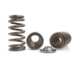Kelford Barra BA FG Falcon EXTREME Race Spring Ti Retainers