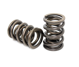 Performance Springs CLBBSB1 dual valve springs for Ford Cross Flow V8
