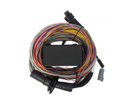 Haltech Elite 550 Premium Universal Wire-in Harness Length: 2.5m (8')