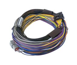 Haltech Elite 750 Basic Universal Wire-in Harness Length: 2.5m (8')