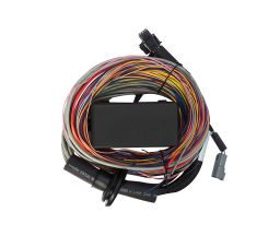 Haltech Elite 750 Premium Universal Wire-in Harness Length: 2.5m (8')