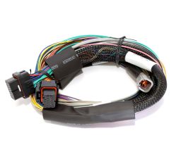 Haltech Elite 1500 Basic Universal Wire-in Harness Length: 2.5m (8')
