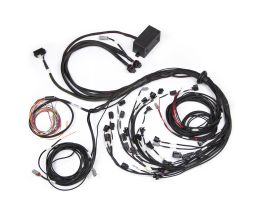 Haltech Elite 2500 Terminated Engine Harness For Ford FalconBA/BF Barra 4.0L I6 Injector Connector: Factory Bosch EV1