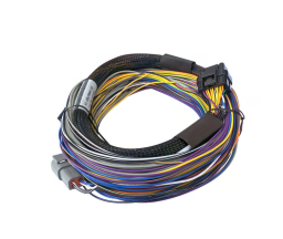 Haltech Elite 550 Basic Universal Wire-in Harness Length: 2.5m (8')