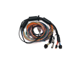 Haltech Nexus R3 Universal Wire-in Harness - 2.5m (8') Length: 2.5M
