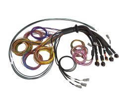 NEXUS R5 Basic Universal Wire-In Harness 5 Metre Length Length: 5M