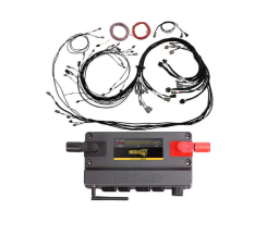 Haltech Nexus R5 ECU + Universal V8 Terminated Harness