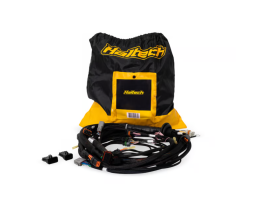 Nexus Rebel LS Terminated Harness for Nexus Rebel LS ECU
