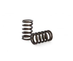 Kelford RB26 Drop in Valve Springs