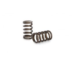 Kelford 1UZ Valve Springs