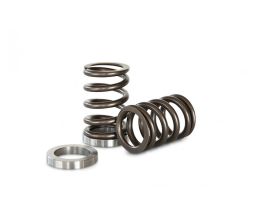 Kelford Nissan RB25 Race Spring and Seat Set