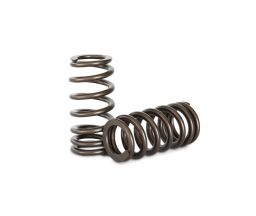 Kelford Barra Valve Springs