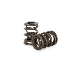 Kelford Nissan RB30 SOHC Valve Sping Kit