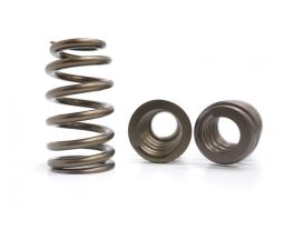 Kelford CHEV LS  Nitrided 'PACALOY' Beehive Valve spring set
