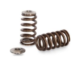 Kelford RB25DET NEO Beehive Spring | Titanium Retainers