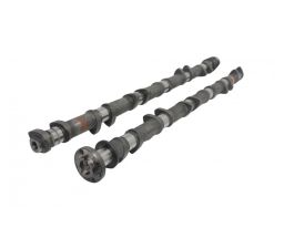 Kelford Cams- suit Nissan TB48 (278/ 278, 10.4/ 10.35)