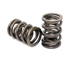 Performance Springs PS 1006D dual valve springs for Holden Isuzu Gemini G161 G180 G200 and Ford 2.0L