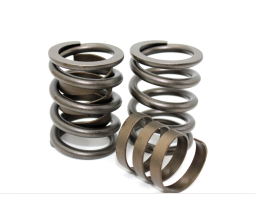 Performance Springs PS 10091D single and damper valve springs for Ford EL EF ED 4.0L SOHC inline 6 cylinder