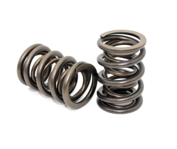 Performance Springs Holden Buick OHV V6 VR Dual Valve Springs – PS 202D