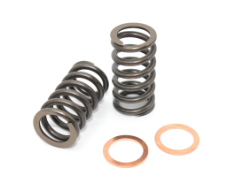 Ford Ranger BT50 5-cylinder 20V valve spring set with shims