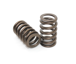 Performance Springs Ford BA/BF/FG XR Barra Turbo PACALOY™ Ovate Beehive Valve Springs