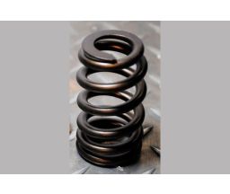 Ford BA XR6 Turbo Barra Ovate Wire Beehive Valve Spring Kit