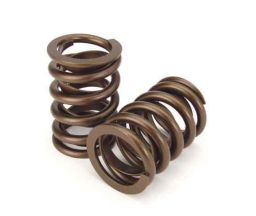 Ford EL/EF Inline 6 Valve Spring Kit