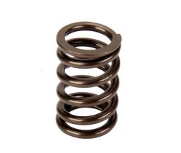 Performance Springs Toyota 1HD-FTE Valve Spring Set