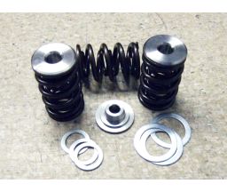 Ford AU 6 Dual Valve Spring, Ti-Retainer & Shim Kit