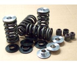 Chev LS1 Dual Valve Spring & Ti-Retainer Kit