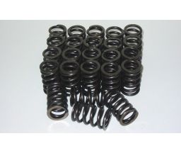 Toyota 2JZ Valve Spring Kit