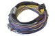 Haltech Elite 750 Basic Universal Wire-in Harness Length: 2.5m (8')
