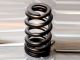 Chev LS1/LS2 Ovate Wire  Beehive Valve Spring Kit